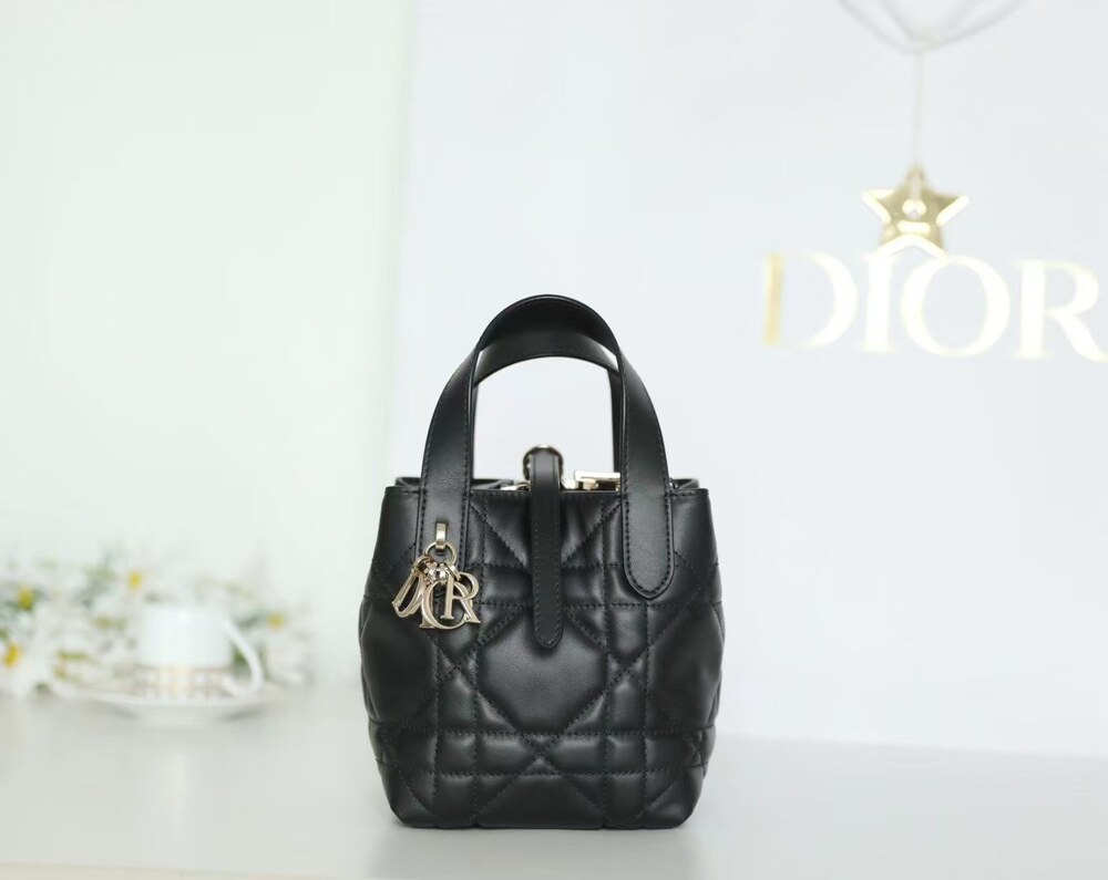 DIOR TOUJOURS MINI VERTICAL TOTE BAG